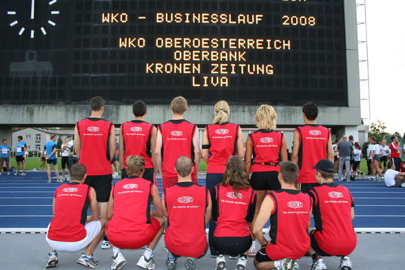 WKO-Businesslauf 2008 - 