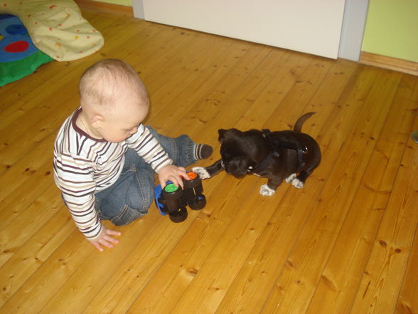 Niclas mit Hund Lilly! - 