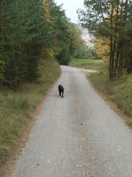 kleine Wanderung rund um Neudegg 2 - 