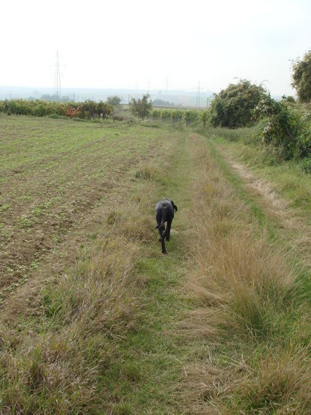 kleine Wanderung rund um Neudegg 2 - 