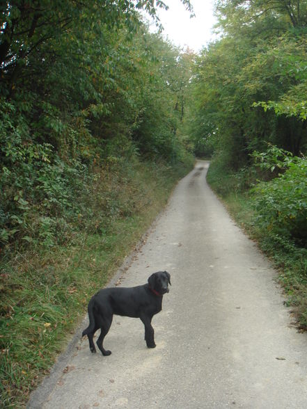 kleine Wanderung rund um Neudegg - 