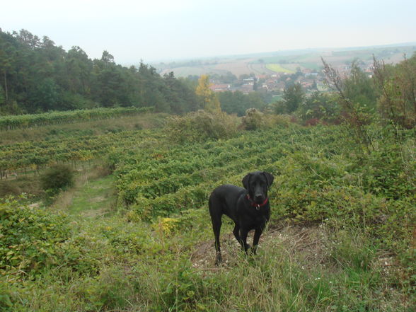 kleine Wanderung rund um Neudegg - 