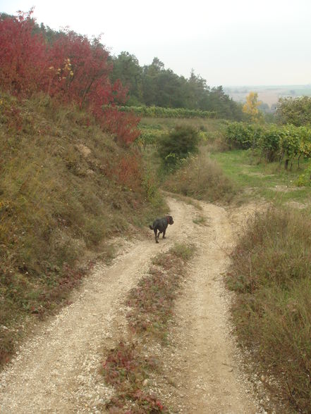 kleine Wanderung rund um Neudegg - 