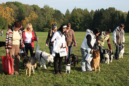 Unser 1. DOGWALK-Treffen - 