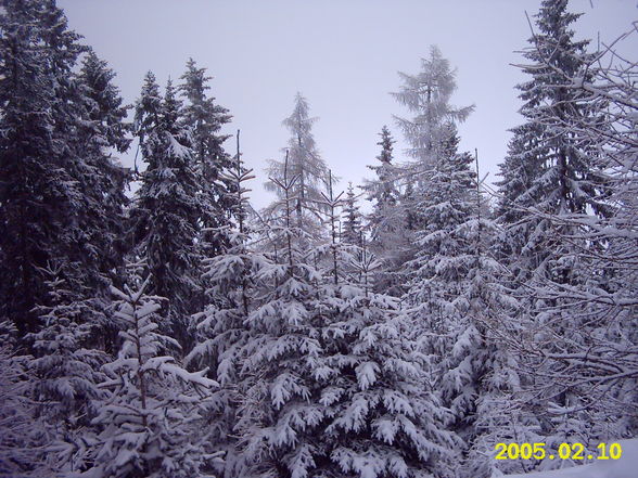 Voll schene Landschaften - 