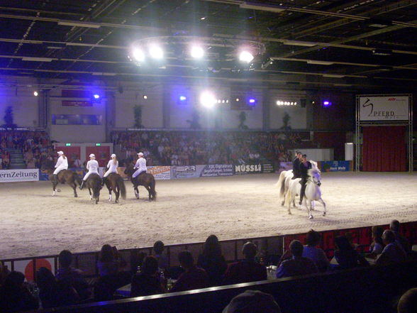 Pferd Wels Showabend 2009 - 