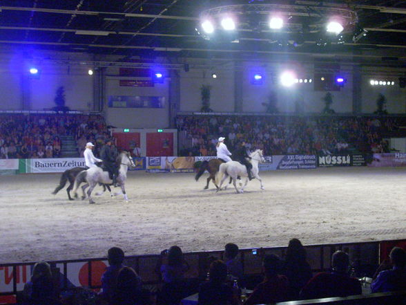 Pferd Wels Showabend 2009 - 