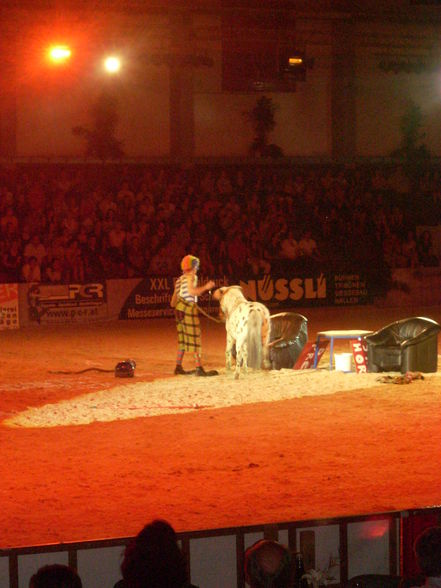 Pferd Wels Showabend 2009 - 