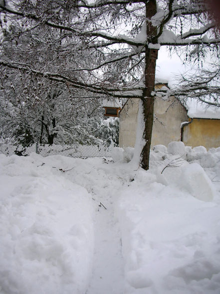 Winter 2006 - 