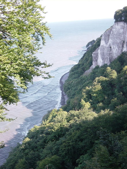 Icebergs Kulturschock durch Rügen - 