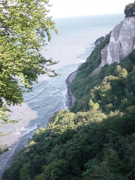 Icebergs Kulturschock durch Rügen - 