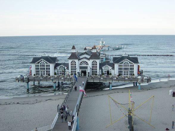 Icebergs Kulturschock durch Rügen - 