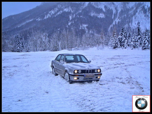 Winter Pics, 325ix   Hunde - 