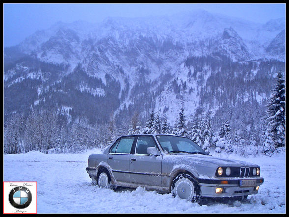 Winter Pics, 325ix   Hunde - 