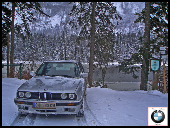 Winter Pics, 325ix   Hunde - 