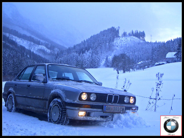 Winter Pics, 325ix   Hunde - 