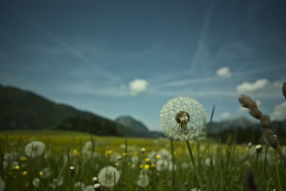 noch mehr schöne Fotos - 