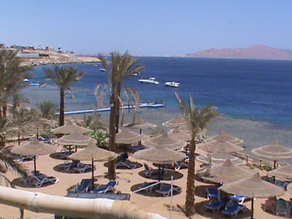 Sharm el sheikh - 