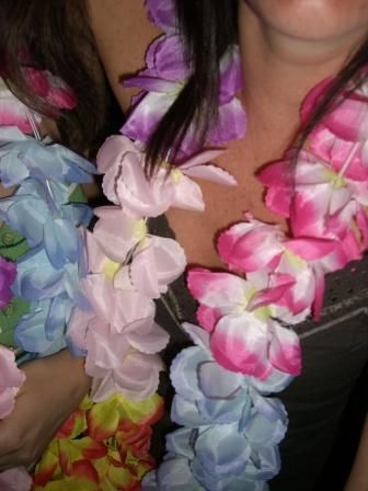 Hawaiifest 2008 - 