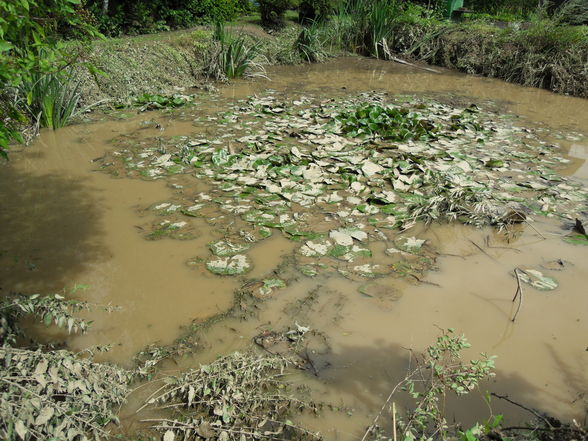 Unwetter 2009 - 