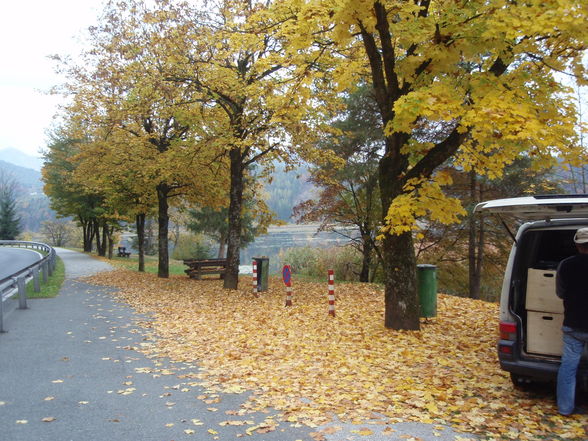 Gösseldorfersee Okt. 08 - 