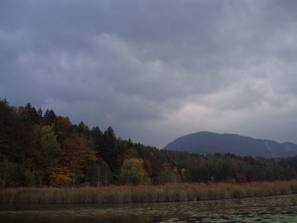 Gösseldorfersee Okt. 08 - 