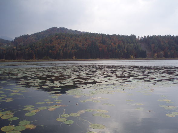 Gösseldorfersee Okt. 08 - 