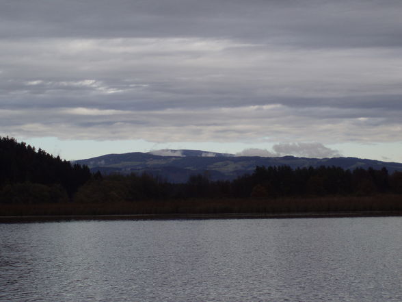 Gösseldorfersee Okt. 08 - 