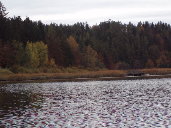 Gösseldorfersee Okt. 08 - 