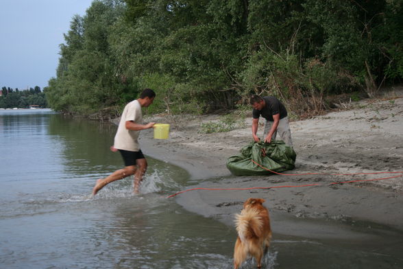 Der Traumfisch - 2,51 Meter 88 kg - 