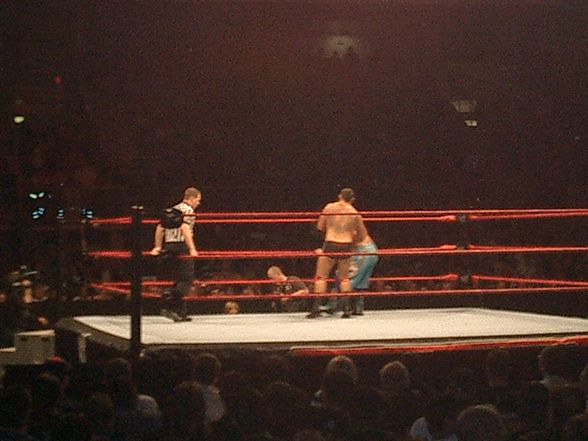 WWE RAW Tour 2008/LInz - 