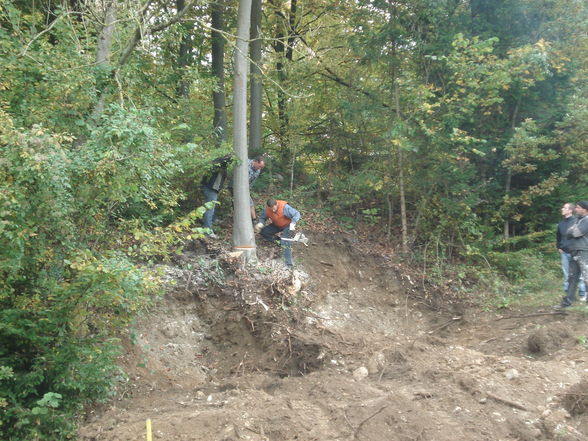 Stegbau bei der Enns - 