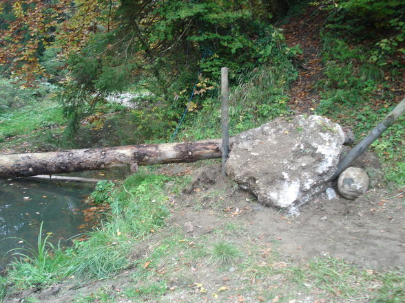 Stegbau bei der Enns - 