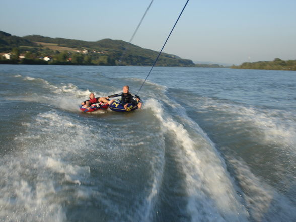 Boot fahren auf der Donau bei (Ybbs) - 