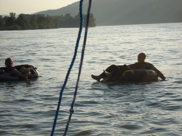 Boot fahren auf der Donau bei (Ybbs) - 