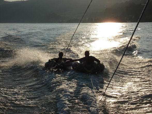 Boot fahren auf der Donau bei (Ybbs) - 