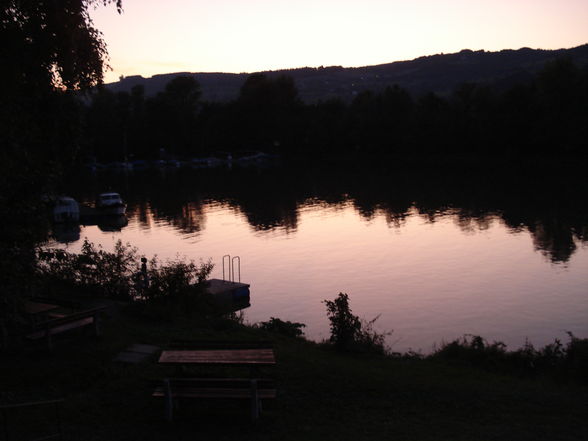 Boot fahren auf der Donau bei (Ybbs) - 