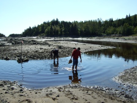 Ausflug nach Tadoussac - 