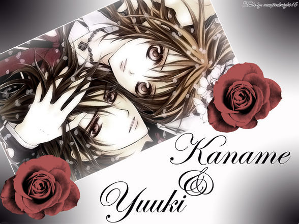 Vampire Knight - 