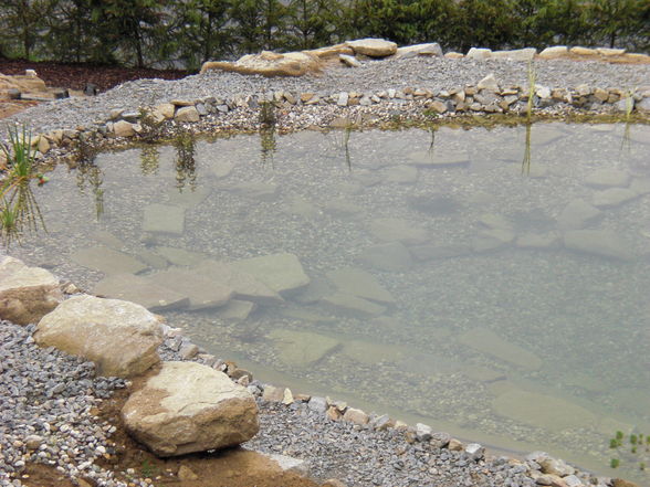 mein erster Schwimmteich! - 