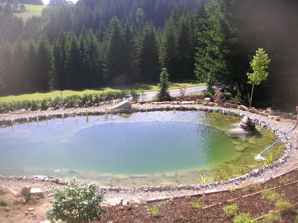 mein erster Schwimmteich! - 