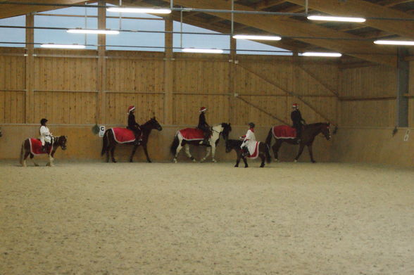 Weihnachtsreiten Marchtrenk - 