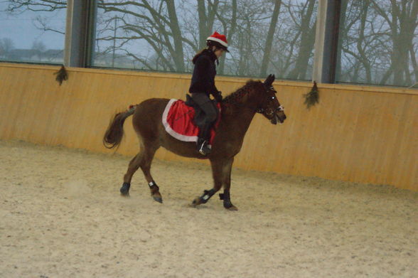 Weihnachtsreiten Marchtrenk - 