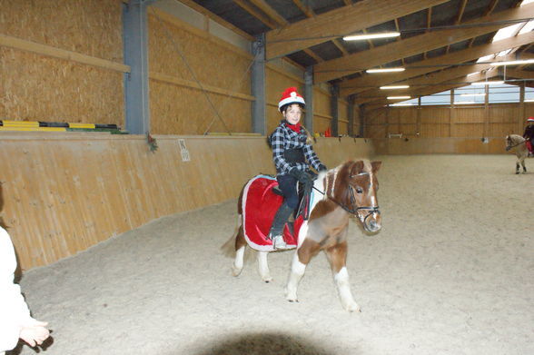 Weihnachtsreiten Marchtrenk - 