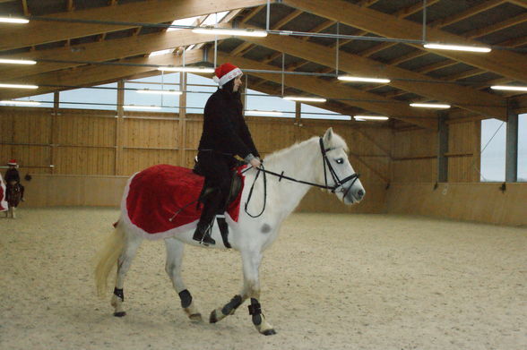 Weihnachtsreiten Marchtrenk - 