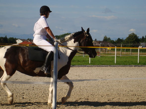 RP Reitverein Welser Heide 2009 - 