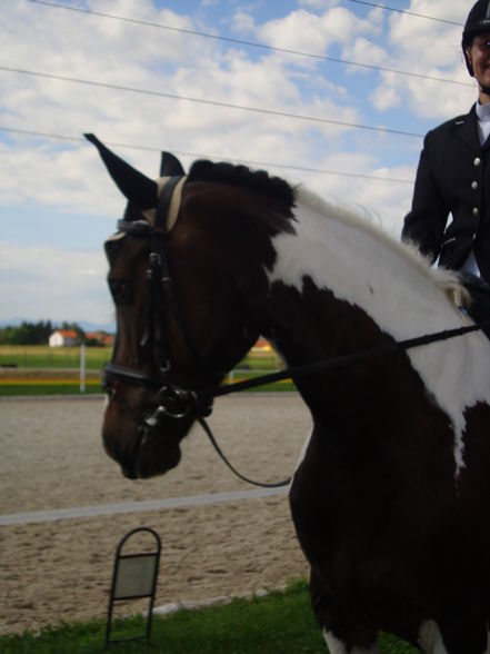 RP Reitverein Welser Heide 2009 - 