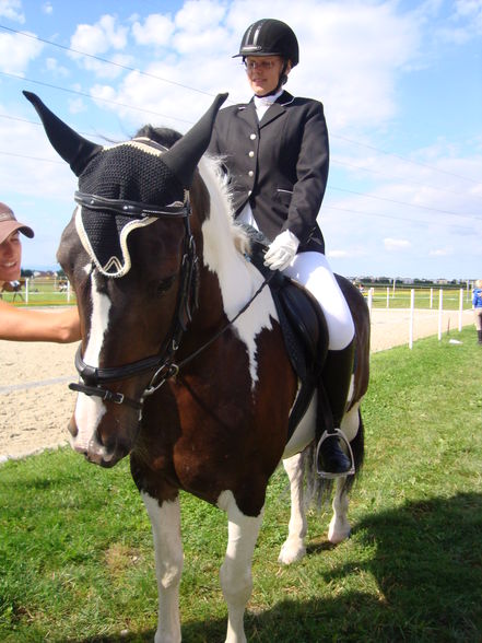 RP Reitverein Welser Heide 2009 - 