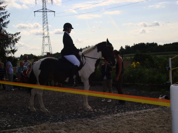 RP Reitverein Welser Heide 2009 - 