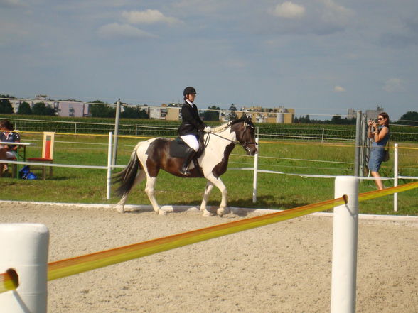 RP Reitverein Welser Heide 2009 - 